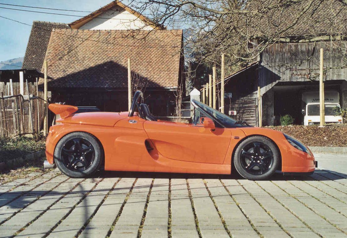 Spider orange